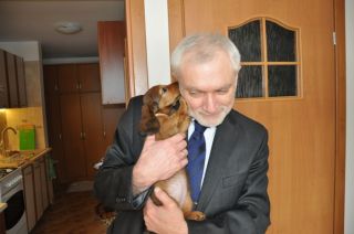 jamnik d�ugow�osy NAILA